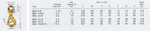 Gancio girevole di sicurezza tipo BKL 