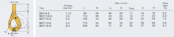 Gancio di sicurezza a codolo tipo BKT