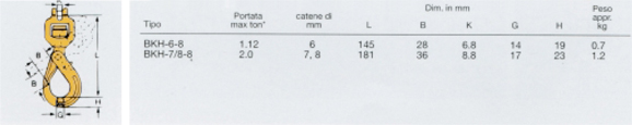 Gancio girevole per paranchi tipo BKH