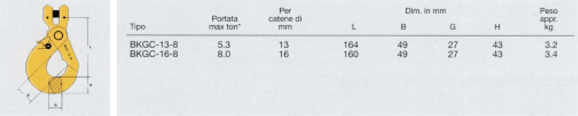Gancio per containers tipo BKGC